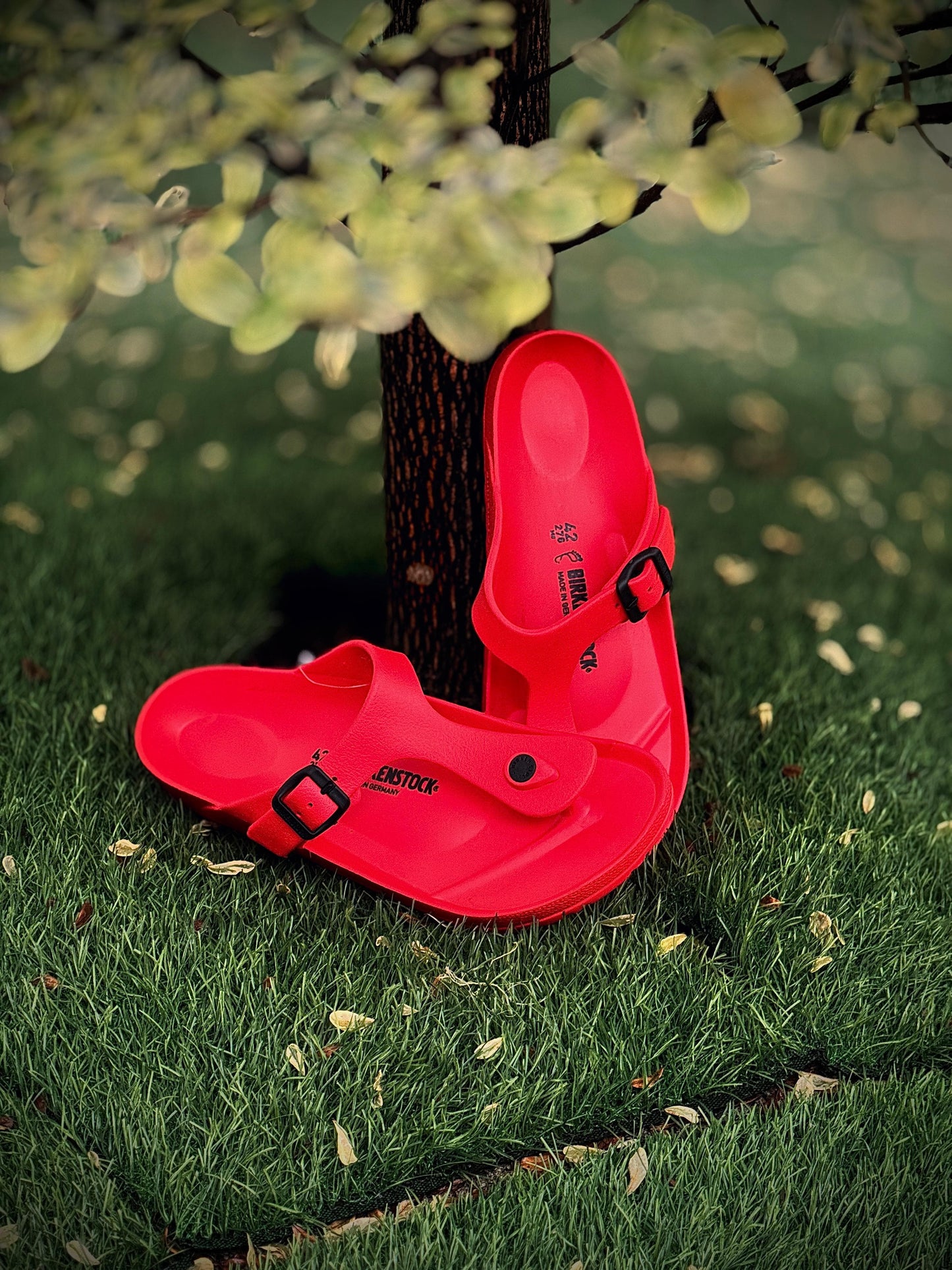 BIRKENSTOCK