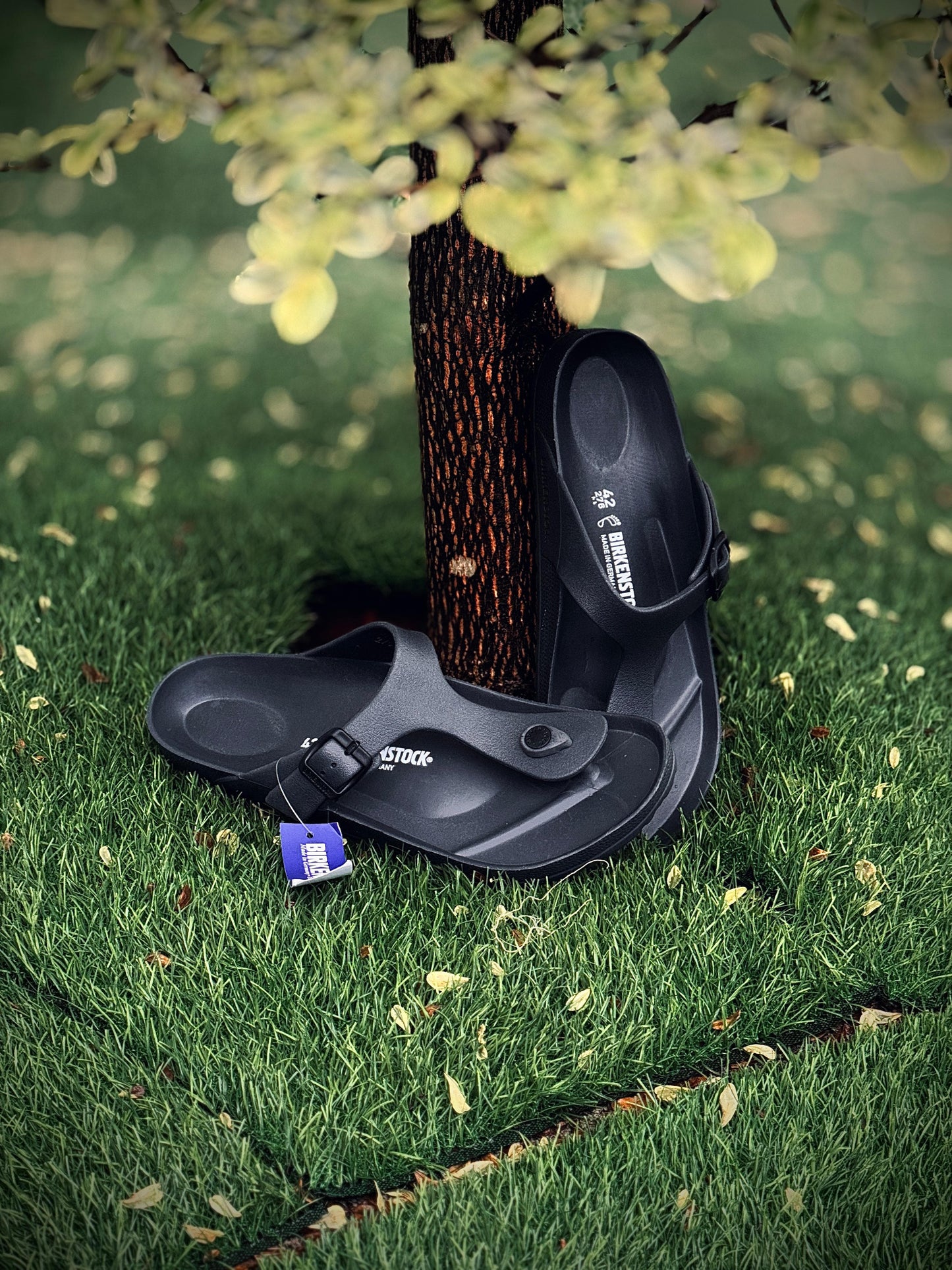 BIRKENSTOCK